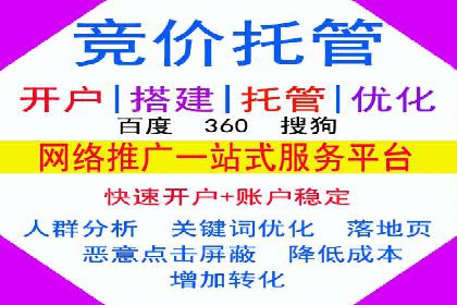 SEM运营公司经典案例点评